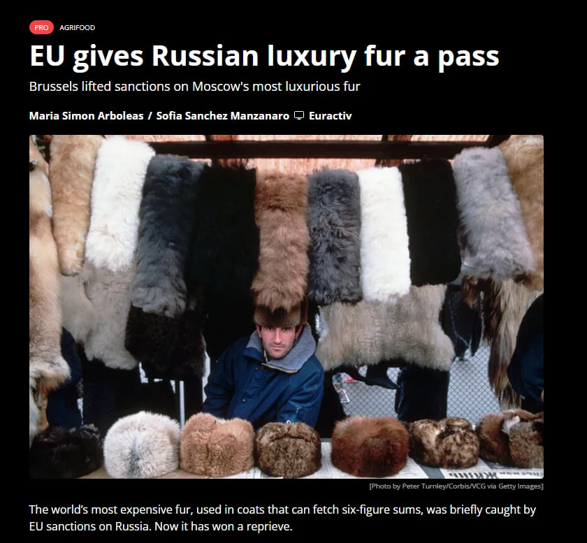ЕС отменил запрет на импорт российского соболиного меха — Euractiv