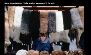 Республиканец критикует Десантиса из-за Украины: Нужен президент, который понимает Европу