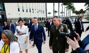 Видео: Макрон посетит департамент Франции, который пострадал от масштабных лесных пожаров