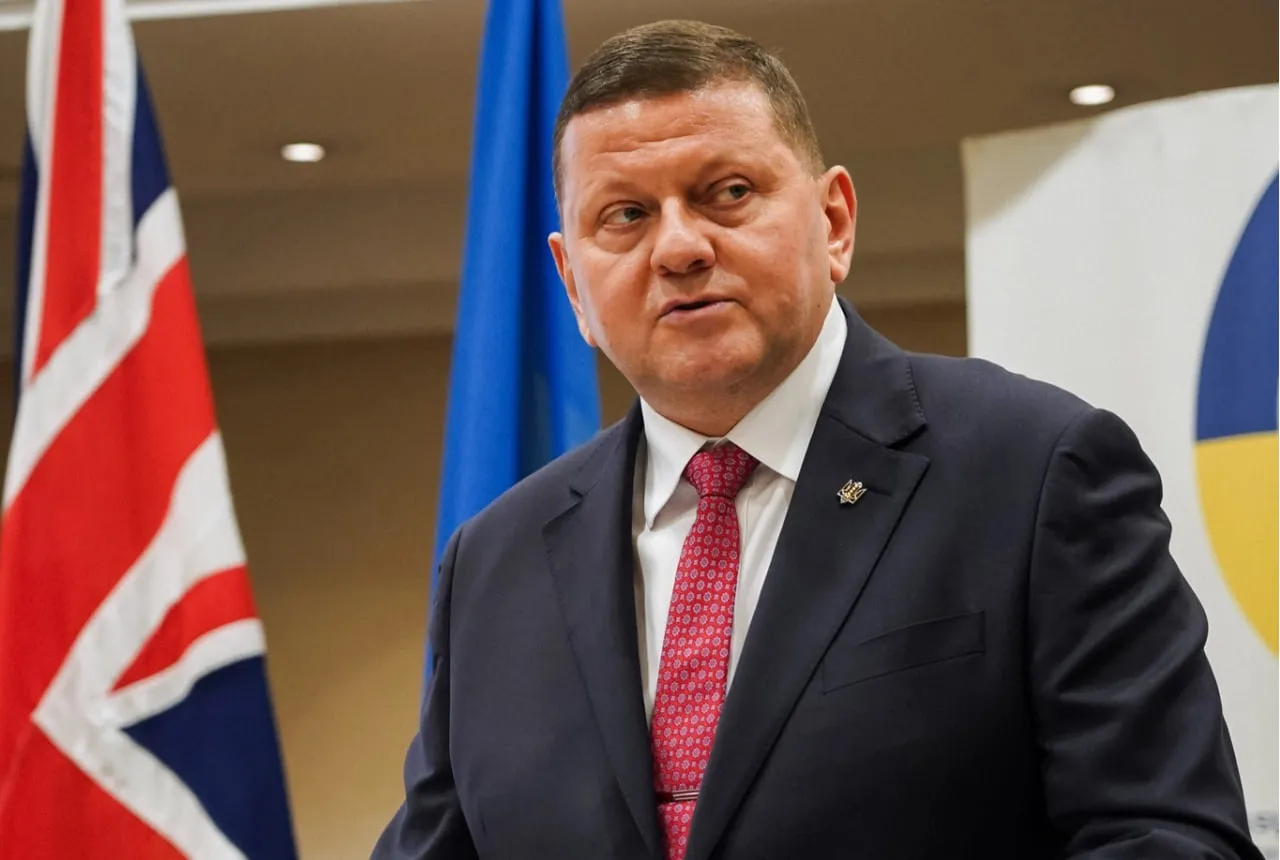Залужний уперше прокоментував призначення нового головнокомандувача ЗСУ