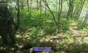 Под Изюмом нашли еще три массовых захоронения