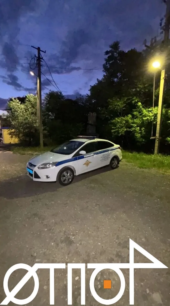 Film: partyzanci poinformowali o podpaleniu radiowozu w okupowanym Doniecku