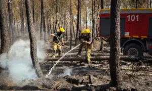 В Ізраїлі зафіксували першу цього сезону смерть від лихоманки Західного Нілу