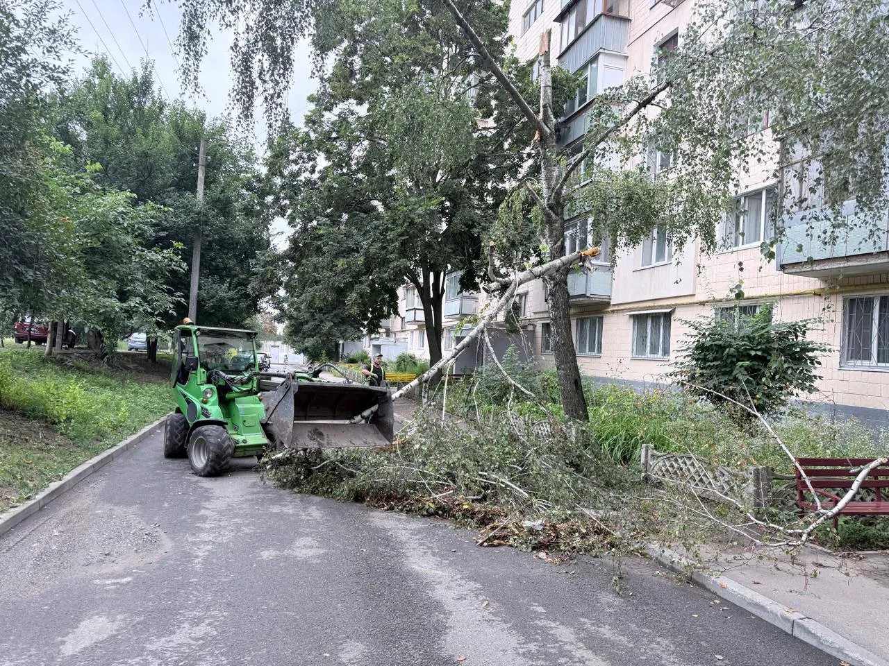 Фото: у Харкові через негоду впало близько 20 дерев