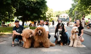 Метро на Виноградар відкриють у 2021 році