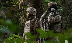 Посольство Бразилії відмовилося допомагати бойовику з «ДНР»