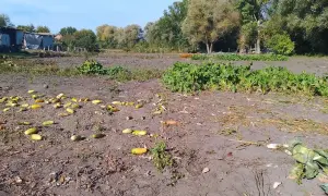 В Тернопольской области военного чиновника поймали на взятке 