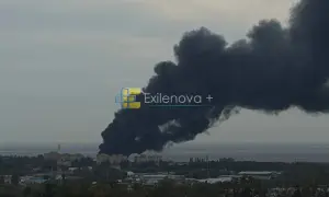 «Красный Крест» планирует посетить колонию в Еленовке