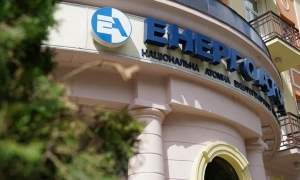 У Чернігівській області відстрілюватимуть диких кабанів через спалах африканської чуми