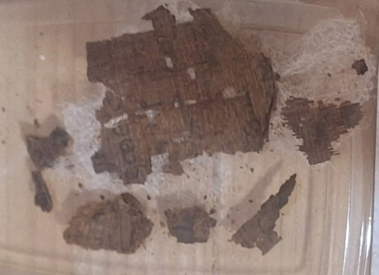 В Египте в мумии нашли папирус с текстом поэмы Гомера