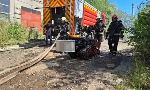 Коронавирус попал в Житомирскую область из Польши