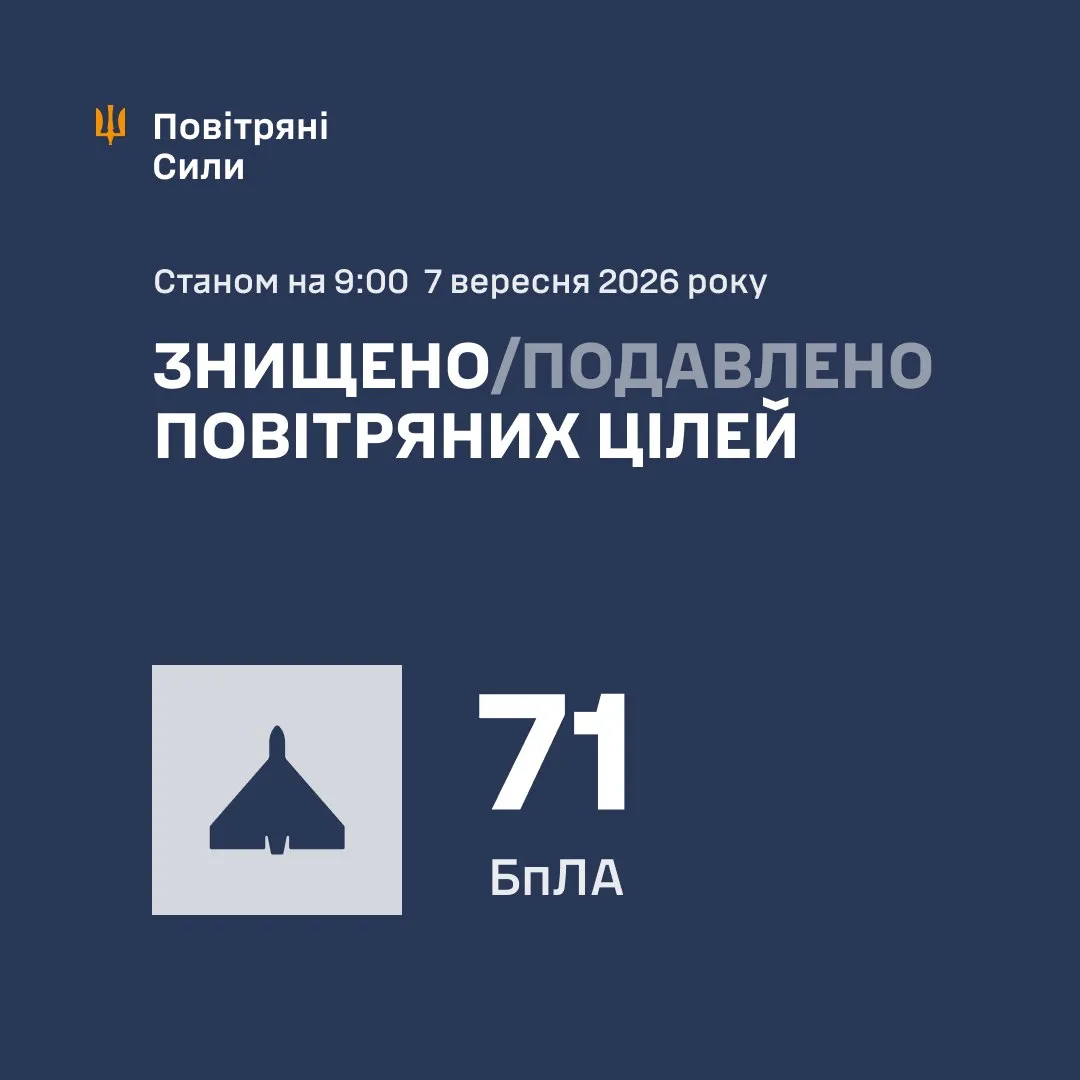 photo_5258062151505616376_y.webp