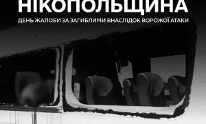 В России разбился учебный дежурный самолет L-39