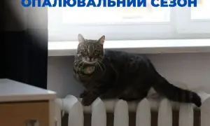 Коломойский назвал, кого он видит следующим премьером