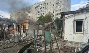 Police evacuate horses from Vovchansk district