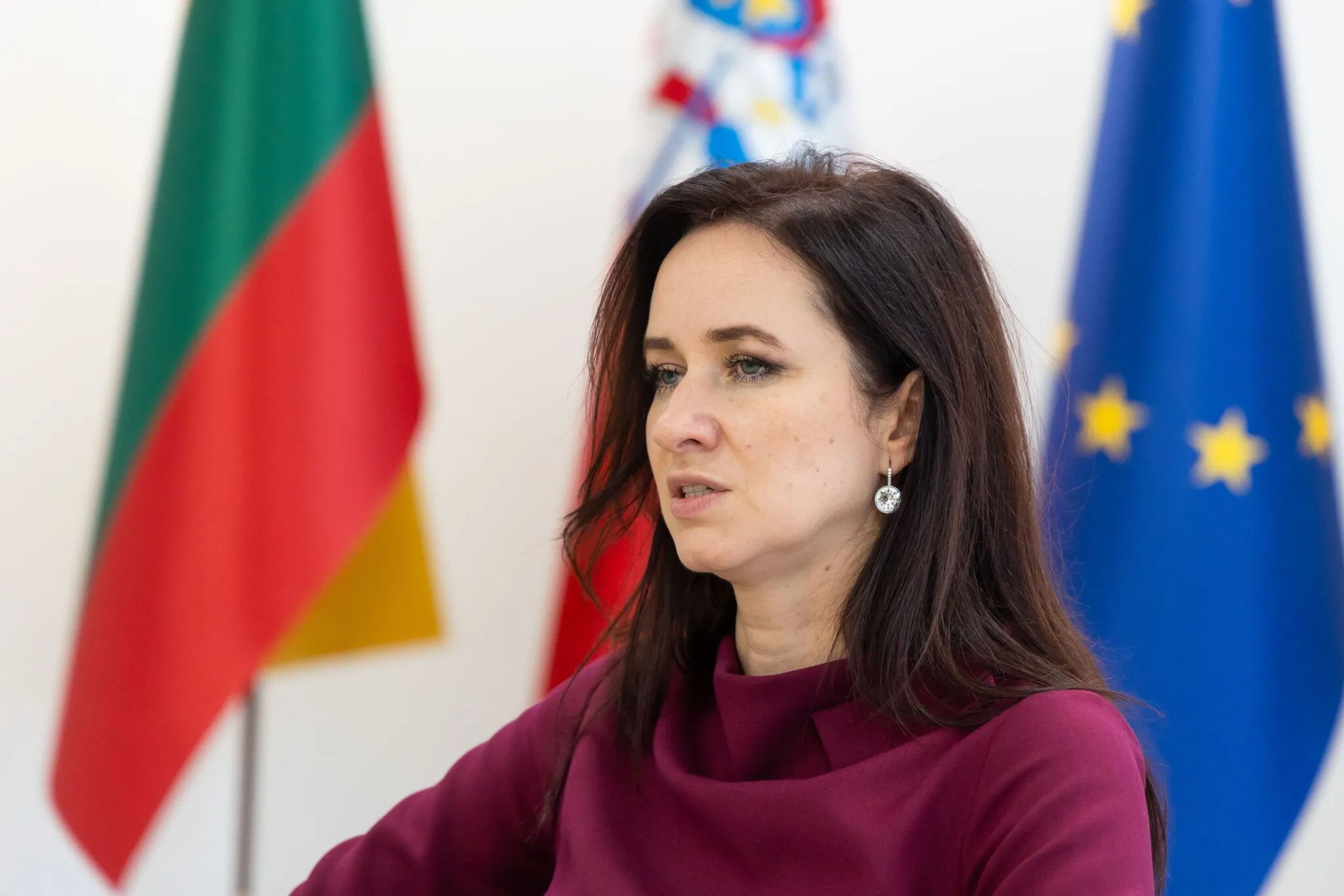 Прем'єрка Литви закликала до «серйозної розмови» з Трампом щодо безпеки та Гренландії