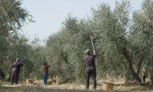 Koalicja pod przewodnictwem Arabii Saudyjskiej poinformowała o zniszczeniu dwóch wyrzutni rakietowych Huti — Anadolu Agency