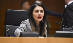 Віцепрезидентка Європарламенту підтримала Гераскевича після дискваліфікації на Олімпіаді