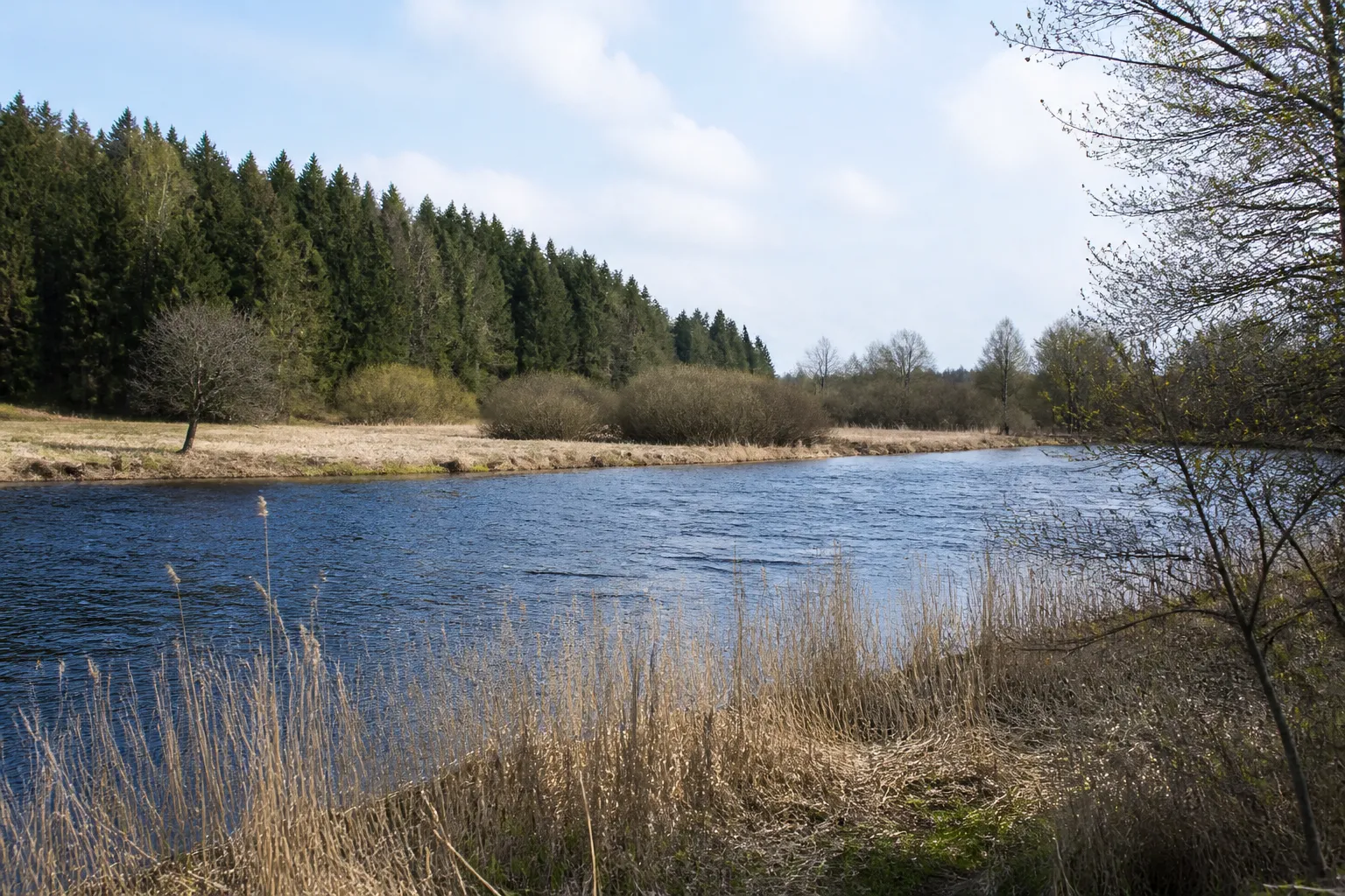 Residents of Piirsalu in Estonia concerned about explosives factory construction