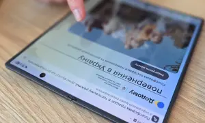 «Директору» Асканії-Нови оголосили вирок за вивезення рідкісних тварин