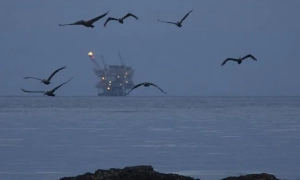 Румунія і США будують спільний завод з переробки рідкісноземельних металів