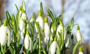 Вбивство Шеремета: суд обрав присяжних для розгляду справи