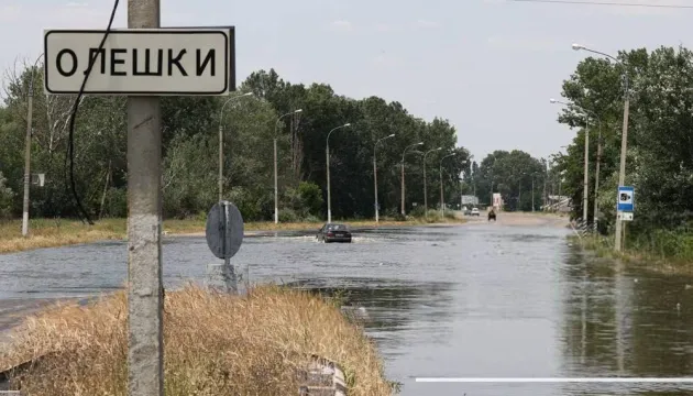 Deutsche Welle określiła ukraińskie imię Oleshka jako rosyjską wersję tej nazwy — Aleshka