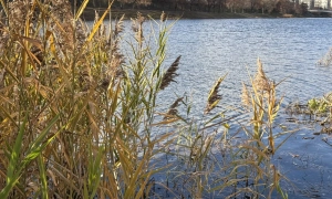 В Україні почали тестувати нову жіночу військову форму 