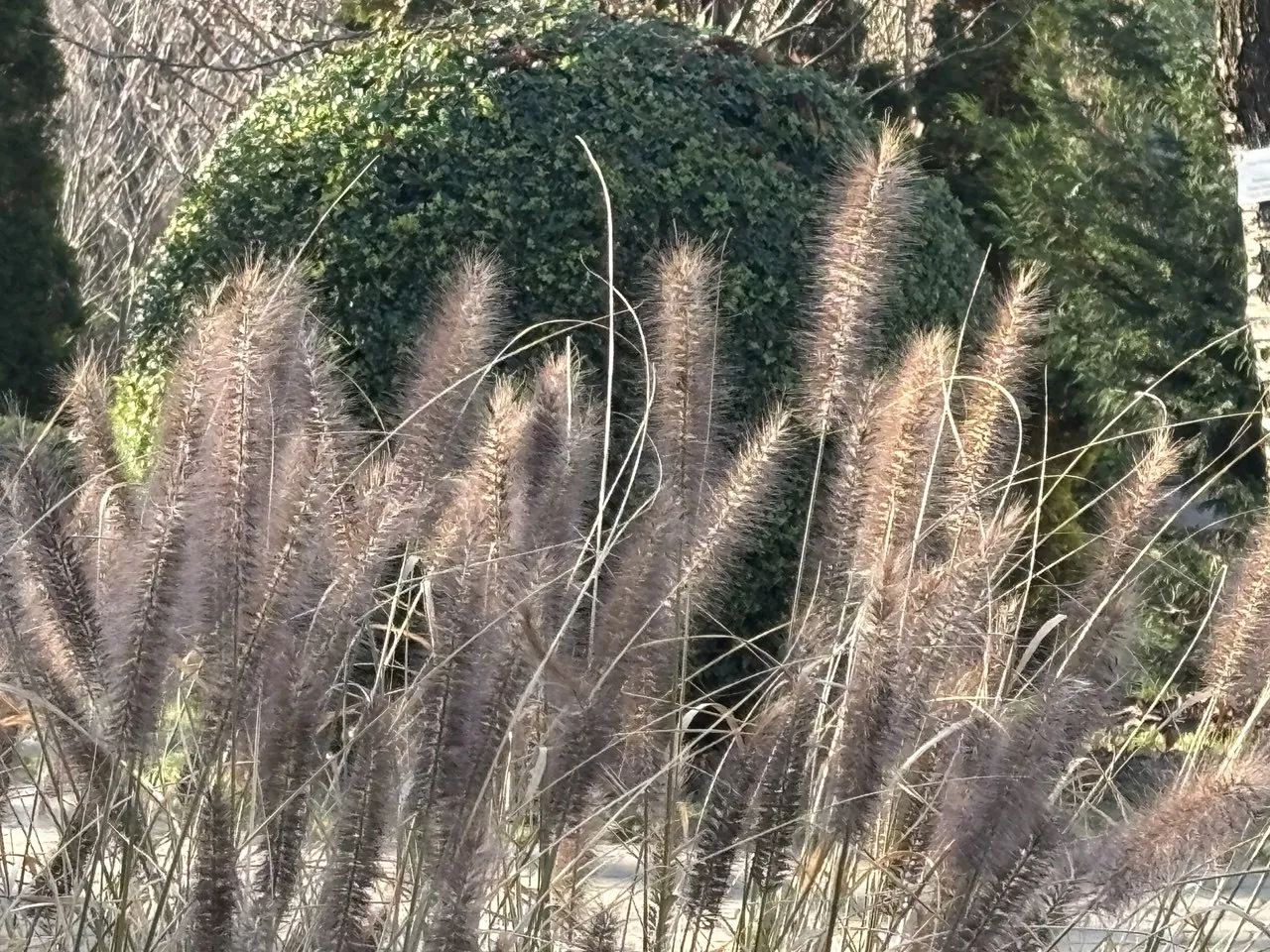 Синоптики дали прогноз погоди на завтра, 7 грудня
