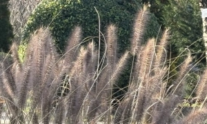 Фото: на Одещині вітер зірвав дах з лікарні