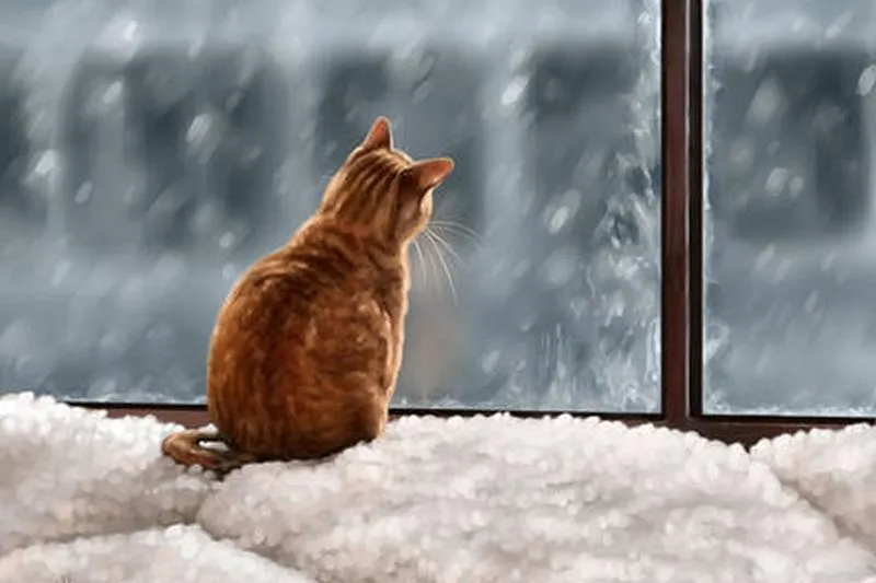 Морози до -13 і нижче: синоптик назвав найхолоднішу дату