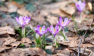 Шістьом російським бойовикам, які потрапили у полон, повідомлено про підозру 
