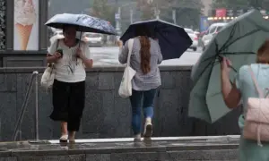 СБУ викрила масштабну схему ухиляння від податків