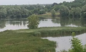Амбасадор уточнила, по какому графику будет проходить визит Зеленского в США