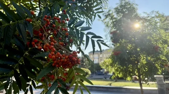 Прогноз погоды в Украине на 7 октября: в Киеве потеплеет до +22°