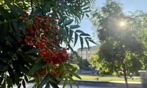 В Мелитополе взорвали тепловоз россиян - мэр города