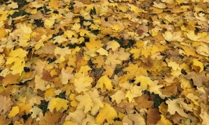 Кравчук на переговорах у ТКГ відіграватиме роль «статусної особи»