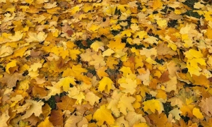 Залізничник отримав довічне ув’язнення за допомогу окупантам