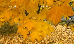 Україна та Фінляндія підписали безпекову угоду