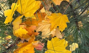 Росія готується до великої війни в Європі - Зеленський