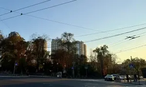 Двое украинских бойцов подорвались на вражеской мине