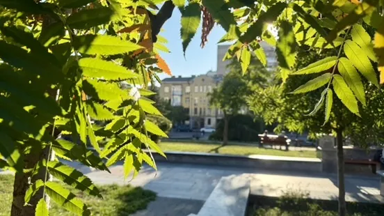 До +21° и туман — какая погода будет 27 сентября