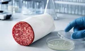 W Rawalpindi odnotowano siódmy przypadek dengi od początku sezonu