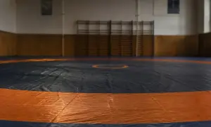 法拉利车手勒克莱尔领跑美国大奖赛首次练习赛——BBC Sport