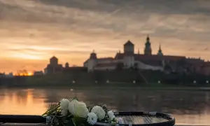 Названа дата и локация боя Ломаченко - Педраса
