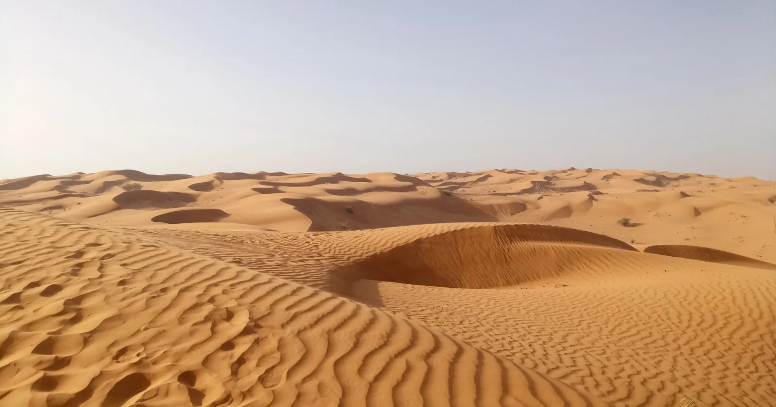 Why does Saudi Arabia import sand when it has an entire desert?