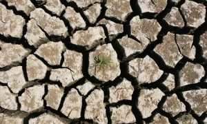 Вчені випробовують першу у світі мРНК-вакцину проти раку легень