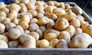 Зеленський звільнив Стефанішину з посади посла України у США