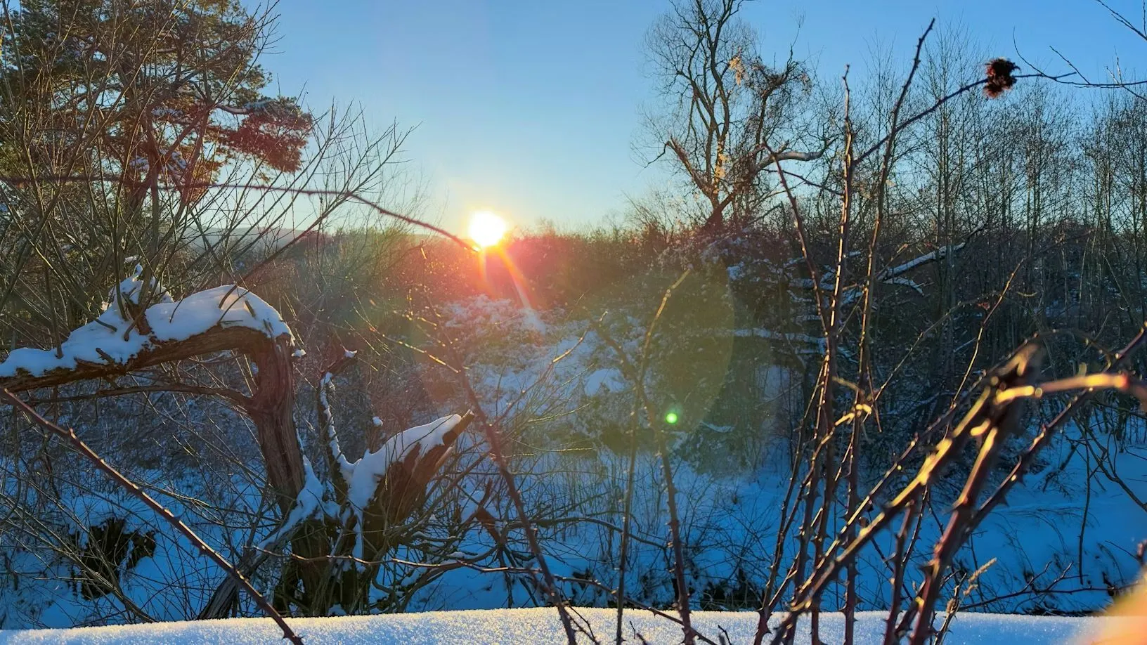 Погода в Україні 3 березня: місцями дощ і мокрий сніг, до 5° тепла