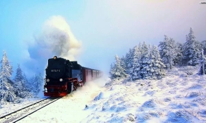 Відео: Зеленський поділився особистою перепискою з підозрюваною у справі Шеремета